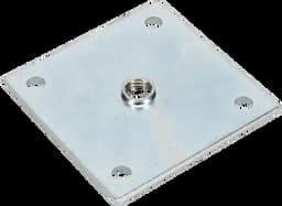 Plate Only For True Image